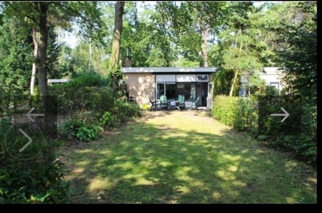 Bos Bungalow Zonnetje 93 Zelhem Buitenkant foto